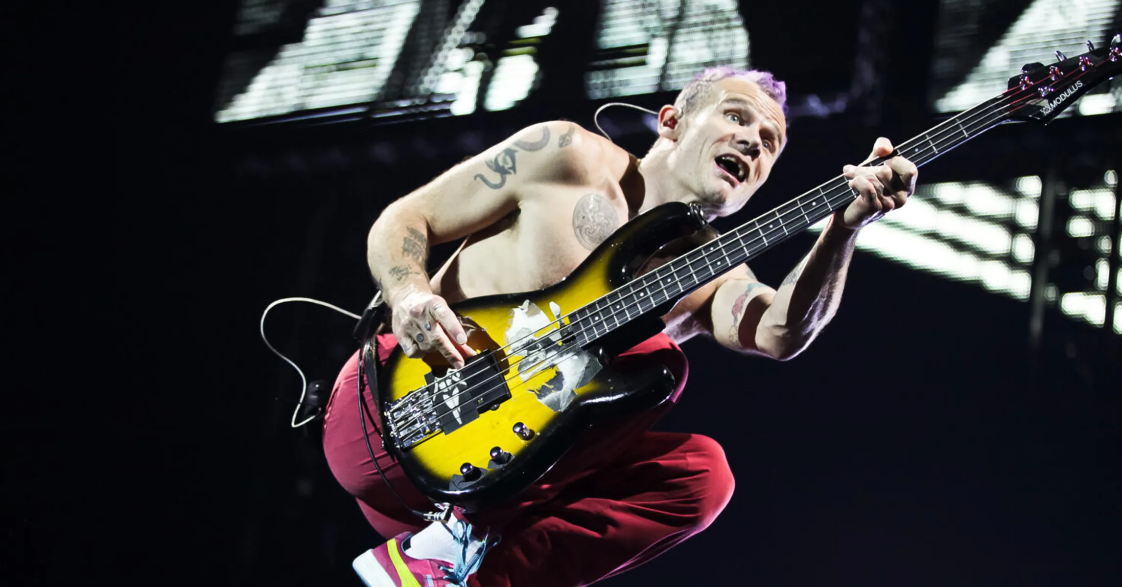 Flea Net Worth 2023 What Is The Red Hot Chili Peppers Legend Worth?