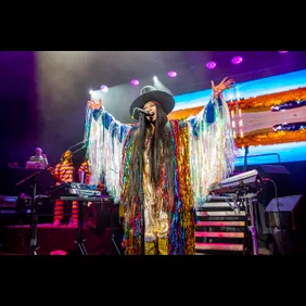 Erykah Badu In Concert - Sterling Heights, MI