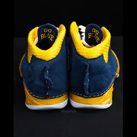 Air-Jordan-23-Michigan-PE-4