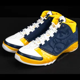 Air-Jordan-23-Michigan-PE