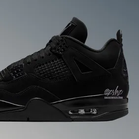 Air-Jordan-4-Black-Cat-Nike-Air-2025-FV5029-010