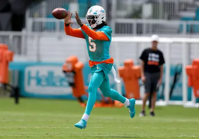 Miami Dolphins Offseason Workout