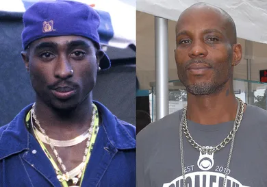 2pac-dmx-ai-track-fan-approved