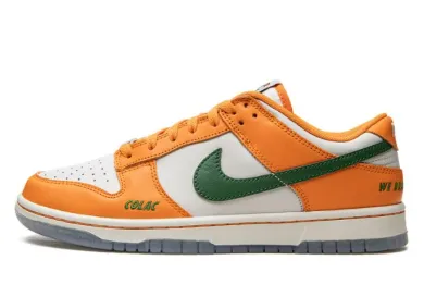 Nike Dunk Low Florida A&M