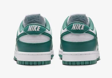 Nike-Dunk-Low-Next-Nature-Bicoastal-DD1873-107-5