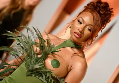 Megan Thee Stallion Fans Bash Oscars Reporter Over "Microaggressive" Comment