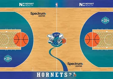 Image Via <a href='https://twitter.com/hornets' rel="nofollow noopener" target='_blank'>Hornets</a>